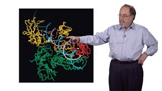 David Baltimore Caltech Introduction to Viruses and Discovering Reverse Transcriptase [upl. by Dnomsad]