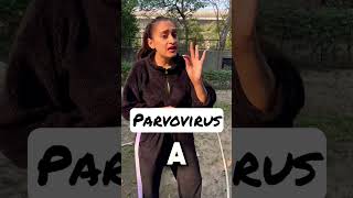 Process of Parvo In Dogs Parvovirus procedure explained shorts rottweiler namitaology [upl. by Denni646]