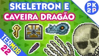 Skeletron VS Magia Mecânica e Caveira de Dragão • Terraria Mobile 22 [upl. by Eecyal]