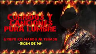 CORRIDOS Y CANCIONES PURA LUMBRE [upl. by Itsur]