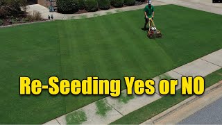 Reseeding Lawns  Does and Donts [upl. by Anahpets]