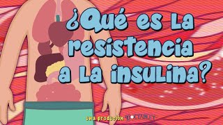 ¿Que es la Resistencia a la Insulina [upl. by Eelrahs80]