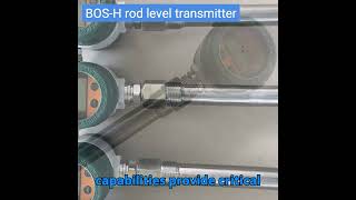 BOS H rod level transmitter [upl. by Gaspar]