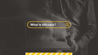 What is silicosis Professor Malcolm Sim [upl. by Elleinet119]