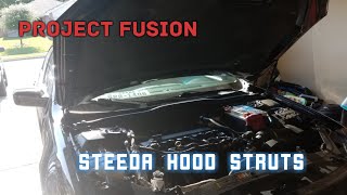 Ford Fusion Steeda hood struts Review [upl. by Hairim]