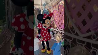 Surprising Minnie Mouse Facts disney minniemouse [upl. by Amled]