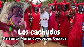 SALIERON LOS CACHUDOS de Santa María Coyotepec Oaxaca [upl. by Ohcamac]