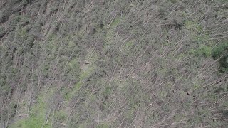 Lowell anticyclonic tornado damage from drone [upl. by Naeroled]