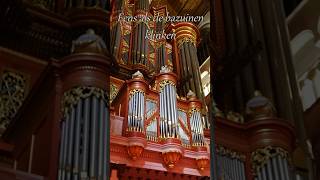 The BIGGEST organ of the Netherlands 🇳🇱 organist organ shorts  Main video is also on Youtube [upl. by Joacimah]