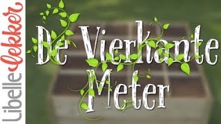 Libelle Lekker De vierkante meter  Aflevering 1 [upl. by Nywled]