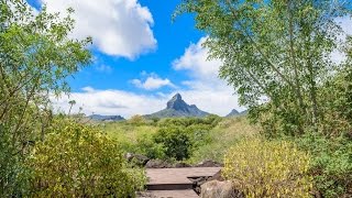 102 Luxurious Hideaway Tamarina Beachfront Golf Estate Villa in Black River Mauritius [upl. by Kazmirci843]