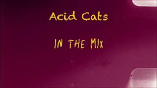 Acid Cats  In The Mix [upl. by Lledualc370]