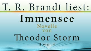 HÖRBUCH Immensee von Theodor Storm Teil 3 [upl. by Emirac]