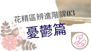 【花精區辨進階課】03憂鬱篇：憂鬱時如何選用花精？  晶荷花精愛療癒 [upl. by Rehotsirhc]