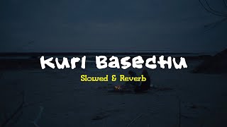 Satarangi Fula Jhai Kuri Basechu  Slowed amp Reverb  Samir Shrestha X Sabal Dev Shrestha [upl. by Ladd]