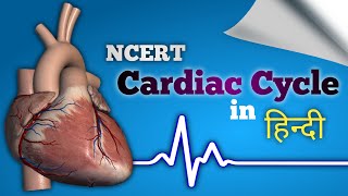 Cardiac Cycle  Systole amp Diastole  हृदय चक्र [upl. by Wilda]