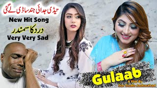 Mur ve Mahiya  Pichan Mur Vy Dhola  Gulaab Official Video  Tahir Mehmood Nayyer Song  gulaab [upl. by Zandra]