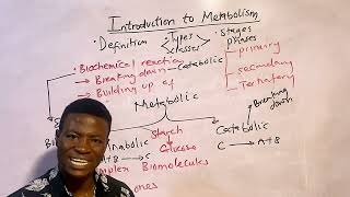 Introduction to metabolism  Made Easy [upl. by Euqinemod873]