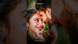 thaliye theva illa ❤️ nanthan un ponjathi 😍 ammu love lovesong tamilsong lovelyammu [upl. by Claresta]