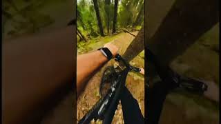 Mountain Biking  Fly off a drop and hit a 🌳 mtb mountainbiking sendit rainstormjig [upl. by Kelwunn]