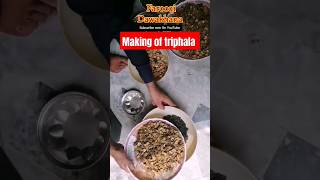 how to make triphala churna at home shorts triphala health how [upl. by Armilla]