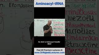 Aminoacyl tRNA drnajeeb drnajeeblectures shortvideostatus [upl. by Ilrebma]