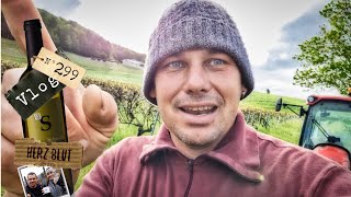 Sch WETTER  mit Herzblut zum Wein Vlog 299 [upl. by Elvira]