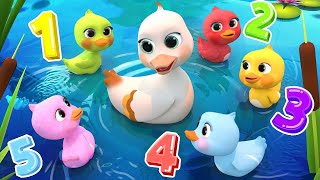 5 Little DucksLearn Colors Song  Lalafun Nursery Rhymes amp Kids Songs  cocomelon [upl. by Arabella]