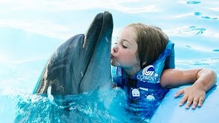 Dolphin World – A Dolphinarium Of The New Age [upl. by Snyder]