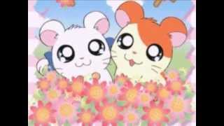 Hamtaro la sigla completa [upl. by Niattirb]