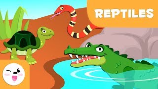 Los reptiles para niños  Animales vertebrados  Ciencias naturales para niños [upl. by Lelith]