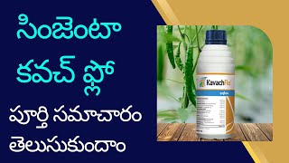 Syngenta Kavach flo  Chlorothalonil 40 Difenoconazole 4 [upl. by Damita]