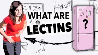 What Are Lectins [upl. by Sonni791]