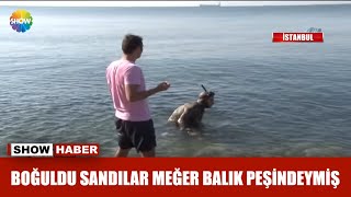 Boğuldu sandılar meğer balık peşindeymiş [upl. by Aynas691]