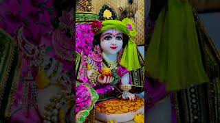 Divine Beauty of Laddu Gopal Mesmerizing Darshan [upl. by Deidre]