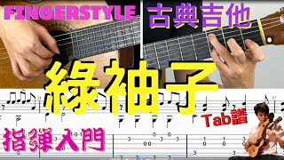 吉他教學 綠袖子Greensleeves TAB 吉他譜 五線譜 Fingerstyle Guitar TAB 古典吉他 木吉他 指彈吉他 吉他初學 吉他入門 [upl. by Nodnalb]