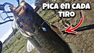 Presa Picachos  El paraíso para pescar lobina  Pesca de orilla [upl. by Munafo]