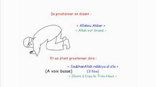 Apprendre La Prière Salat El Dohr  2ème prière de la journée [upl. by Tybald]