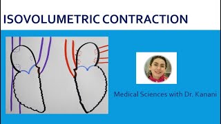 Isovolumetric Contraction of the Cardiac Cycle [upl. by Russel]