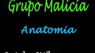 Grupo Malicia  Anatomia [upl. by Iaoh675]