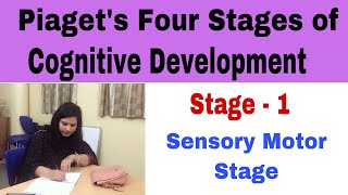 P12 Sensory Motor Stage  Piaget’s Four Stages Of Cognitive Development [upl. by Neetsuj]