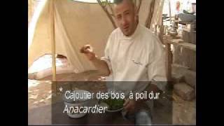 Recette de cuisine taboulé aux herbes fraiches et agrumes [upl. by Melan]