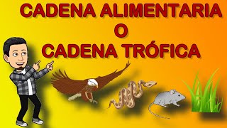 Cadena alimentaria o cadena trófica  Para niños [upl. by Gnaig]