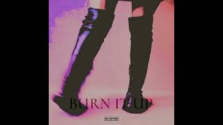 BLACKPINK  BURN IT UP ORIGINAL AI SONG [upl. by Marion]