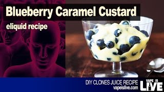 Blueberry Caramel Custard DIY EJuice Recipe [upl. by Rtoip]