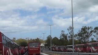 Ce dimanche la flotte de bus était rouge au congrès des jeunes PTr MMM [upl. by Asial572]