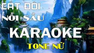 Cắt Đôi Nỗi Sầu Karaoke Tone Nữ Karaoke Lâm Organ  Cover TĂNG DUY TÂN [upl. by Ogilvie]