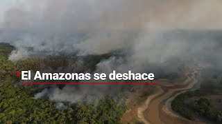 El Amazonas se está EXTINGUIENDO  La deforestación AMENAZA al pulmón más grande de la Tierra [upl. by Lettie]