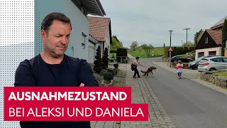 Aleksi ist nicht zu stoppen  Der Hundeprofi [upl. by Esirec]