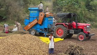 A Day Life In Gujarat Farmers  Hardworking LifeOf Farmers  Peanuts Harvesting [upl. by Stronski293]